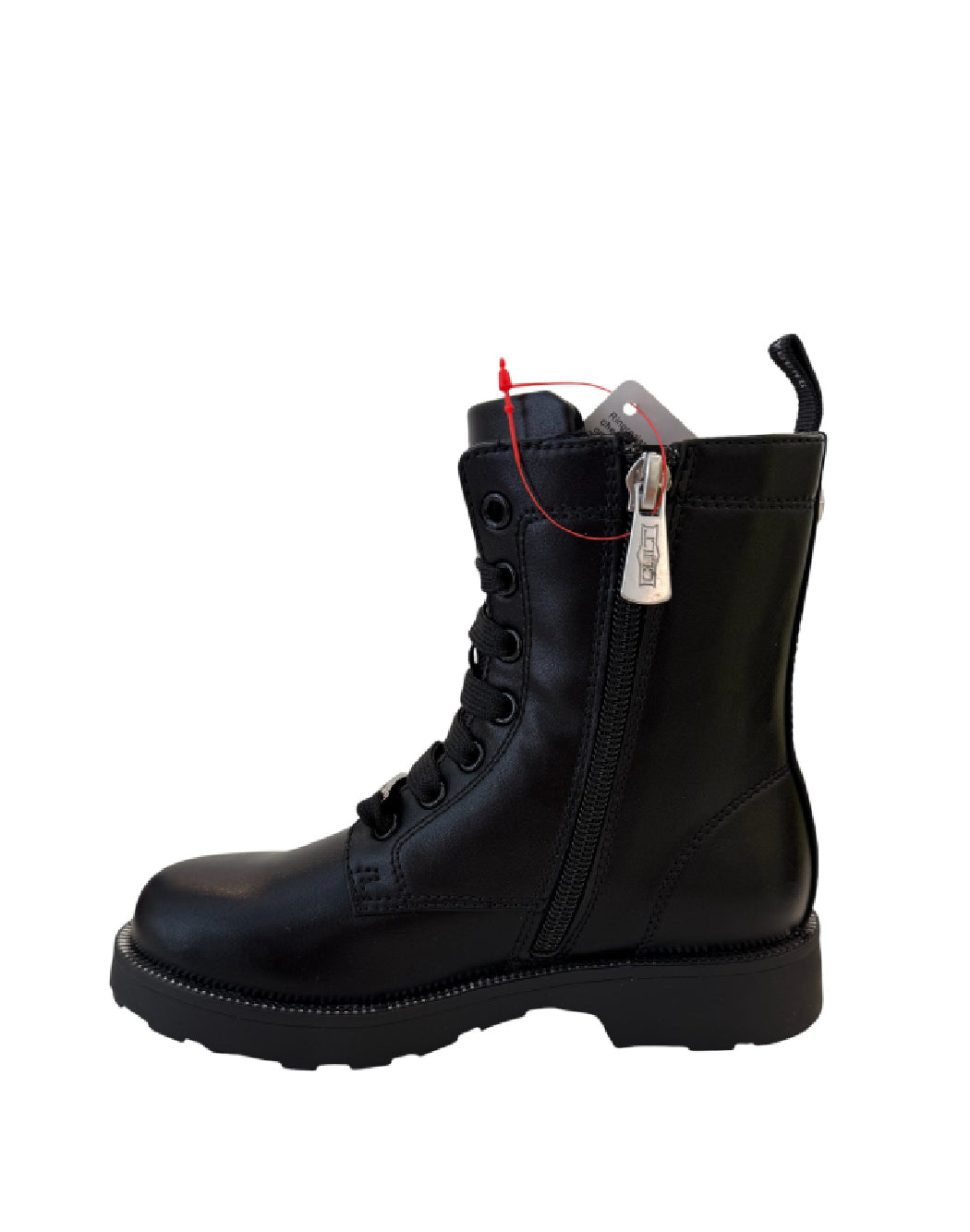 Anfibio Cult dentellato